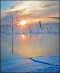 6EA5C5E3-FC3E-4C23-9AD4-72592BCBE3C2/L0/001
