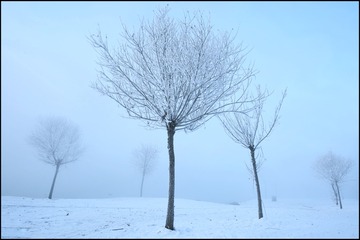 E6DDF054-07E1-4764-8C84-E959DD8726A9/L0/001
