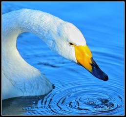 0B8CFE92-04BD-4268-9F9F-A6847B9E9785/L0/001