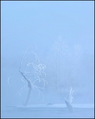 2A0EADEB-AC42-4ED9-A37A-64F2562D3EF6/L0/001