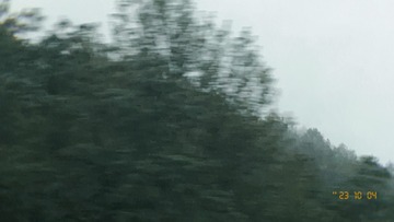 D2590D08-539E-4509-8BD8-03D0412721D6/L0/001