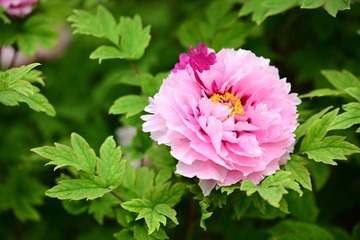 B50B1654-45F2-4098-A040-50FC59B7FC37/L0/001