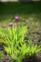 B2D9CBDB-C692-46CE-9DB1-645F7DF56993/L0/001