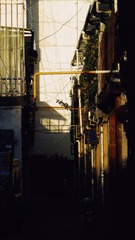 1900867