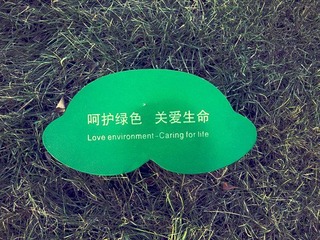 爱护植物