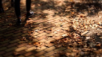 2016_1025_01304600