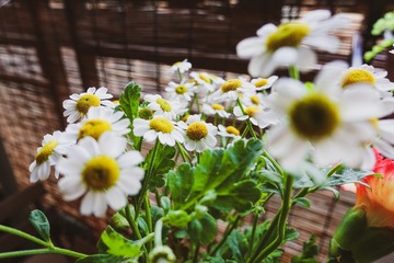 287BD7A5-7EAE-4EEB-AD70-6F13875F21A0/L0/001