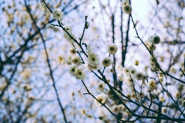 1045F7FB-E463-4759-B0BE-E5ECBFD961FC/L0/001