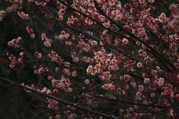 E3E2A579-E4F2-49B8-AF81-FA32FAB16627/L0/001