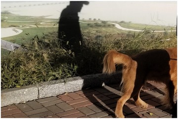 663250