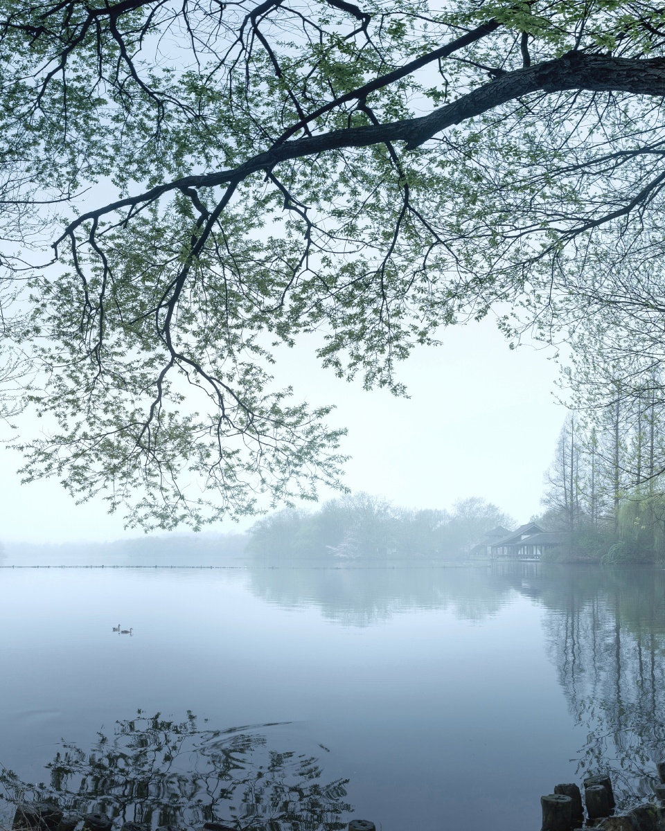 烟雨西湖