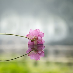 190703