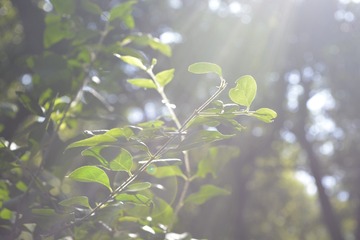 _DSC0044
