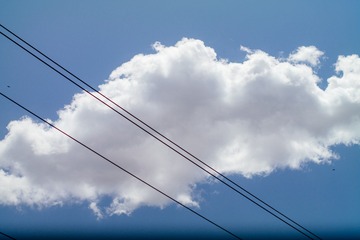 547009