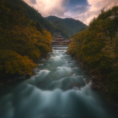 598878