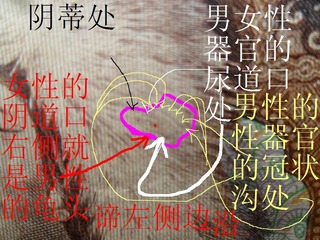 3第四套人民币伍圆纸币中男女性器官的联合圈定 女短跑运动员和和男人的龟头和女人的阴处设计SAM_1176