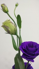 765464