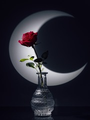 D26E1C64-9F49-49AD-BD6C-43B73D5EB196/L0/001