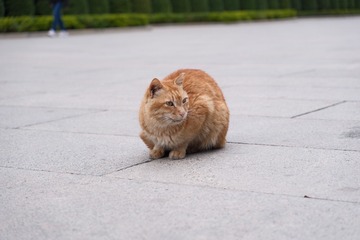 34419