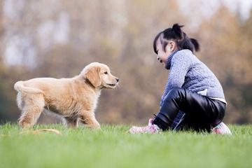 “IMG_9042”为智能对象-1
