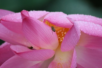 82BF8915-5833-490F-AE67-9F0062126B68/L0/001