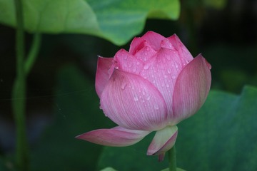 C7499D34-4AC4-4E98-BB77-B9F38EB6BB9B/L0/001
