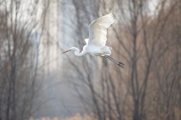F0A2408C-1757-497C-92FD-B09489B39FF7/L0/001