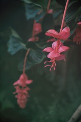 42F5993F-BDF3-492D-96AF-9B7AEB1698A9/L0/001
