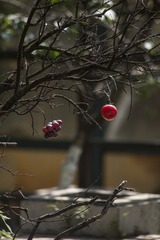 F5E94D63-A941-4F23-AC16-1CA8417F3687/L0/001