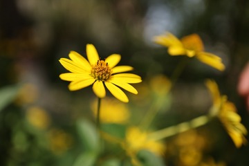 F8E57BCB-D3F9-45AE-9D95-B0DBEC8EB7B0/L0/001