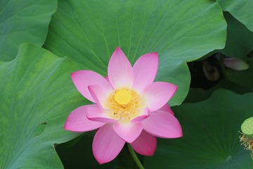 C94A3A1D-9628-4D28-958A-34596D7770BD/L0/001