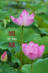 4710C29D-9940-4417-B2E3-5D9A8FB885A5/L0/001