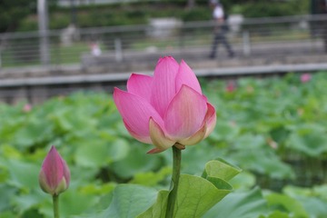 987E29B5-CA83-4546-B196-462B1B3B7E71/L0/001
