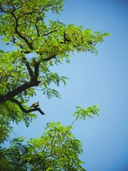 7F207645-9879-43FA-BBB6-DBF5869ED430/L0/001