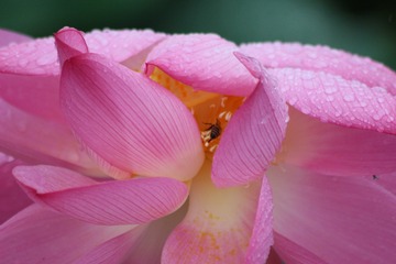 A293F817-72FE-4735-98B6-BB70AA00CCA8/L0/001