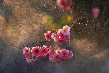 5C3A17C0-6A19-467A-9BC4-C414B2FEB239/L0/001