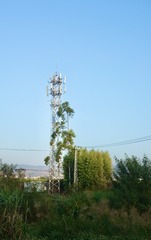 220AFEDC-4768-4504-8B39-5152E720BE63/L0/001