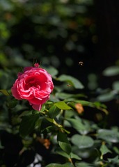E5769155-F6F2-4E12-AA99-0E4EEE96136D/L0/001