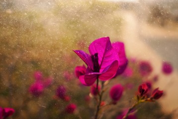 75F44287-C89E-4997-80CC-18A85A6AD180/L0/001