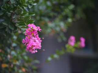 CC272730-331E-4FA6-99DD-0267B68368E1/L0/001
