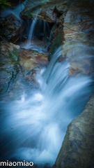 IMG_5295-2