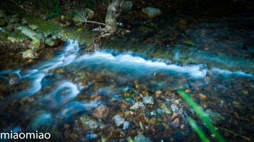 IMG_5277-2