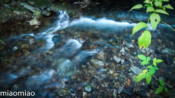 IMG_5276-2