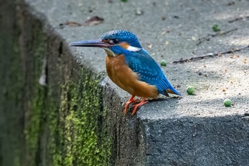 143618