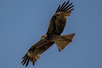 141782