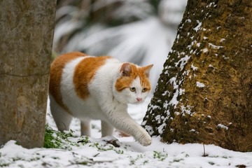 97569