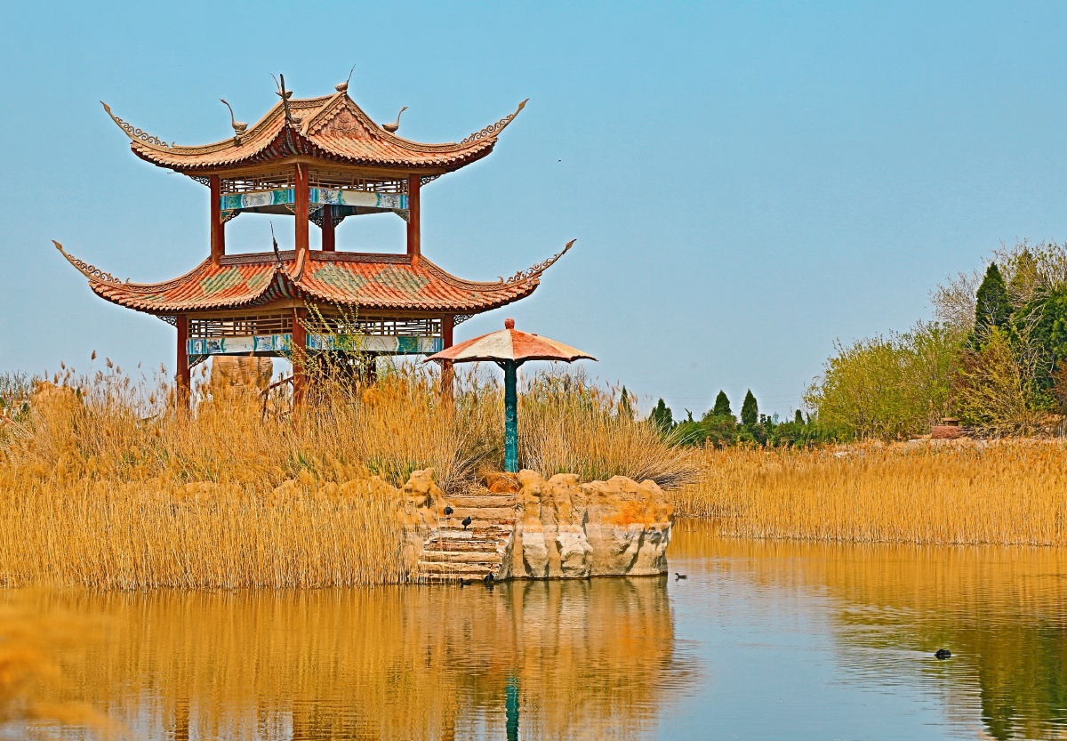 坐落在风景秀丽的东营天鹅湖风景区