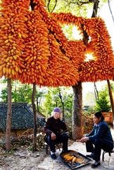 话丰年