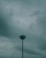 1266138