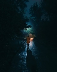 1317834